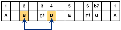 Thirds Example: B and D